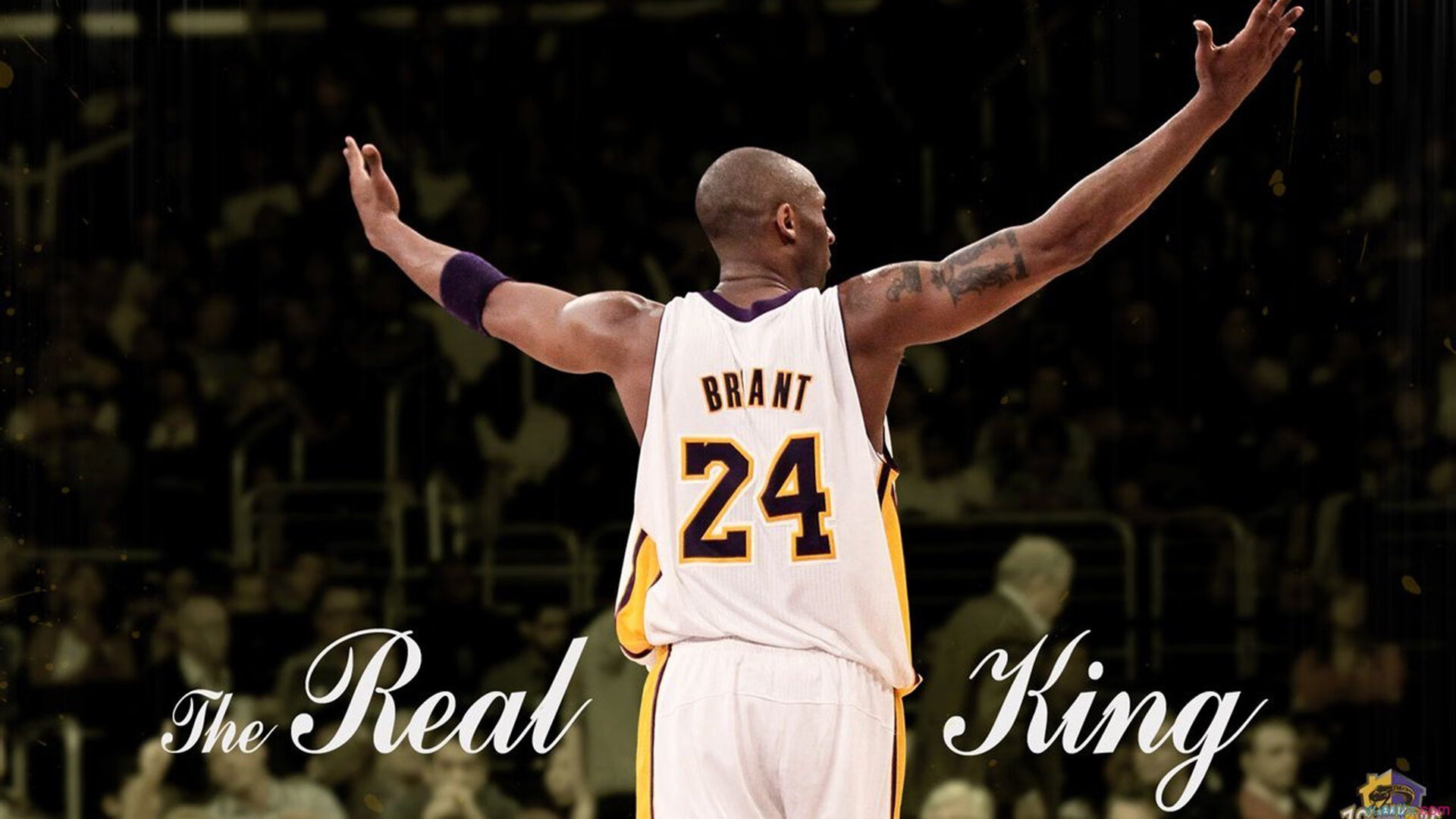 kaiyun开云·官方网站-网球教练实训基地落成并对外开放，网球培训基地